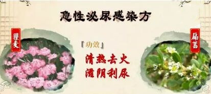 陈明，养六腑之养“小肠”，慈安堂中医门诊